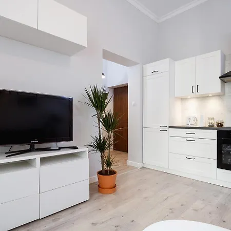 1 bedroom apartment - Kazimierz - Starowiślna 36-2